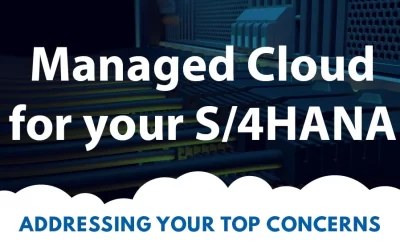 Cloud Hosting – Managed cloud for SAP S/4HANA